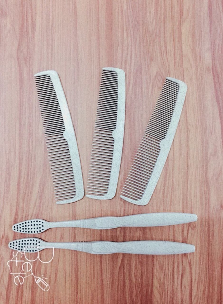 lược chải tóc từ bột rơm. bộ amenity thân thiện với môi trường.