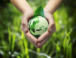Sao Biển mong muốn góp sức mình cùng chung tay bảo vệ môi trường thân yêu. Để chọn được các sản phẩm phù hợp, bạn vui lòng liên hệ hotline: 09.08.02.0618 – 028.38.68.0083 hoặc truy cập https://saobien.vn/.