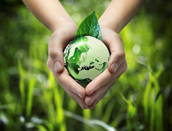 Bảo Vệ Môi Trường: Xu Hướng Kinh Doanh Xanh Với Đồ Dùng Bền Vững Sao Biển gợi ý cho bạn 5 đồ dùng thân thiện bảo vệ môi trường - Sao Biển