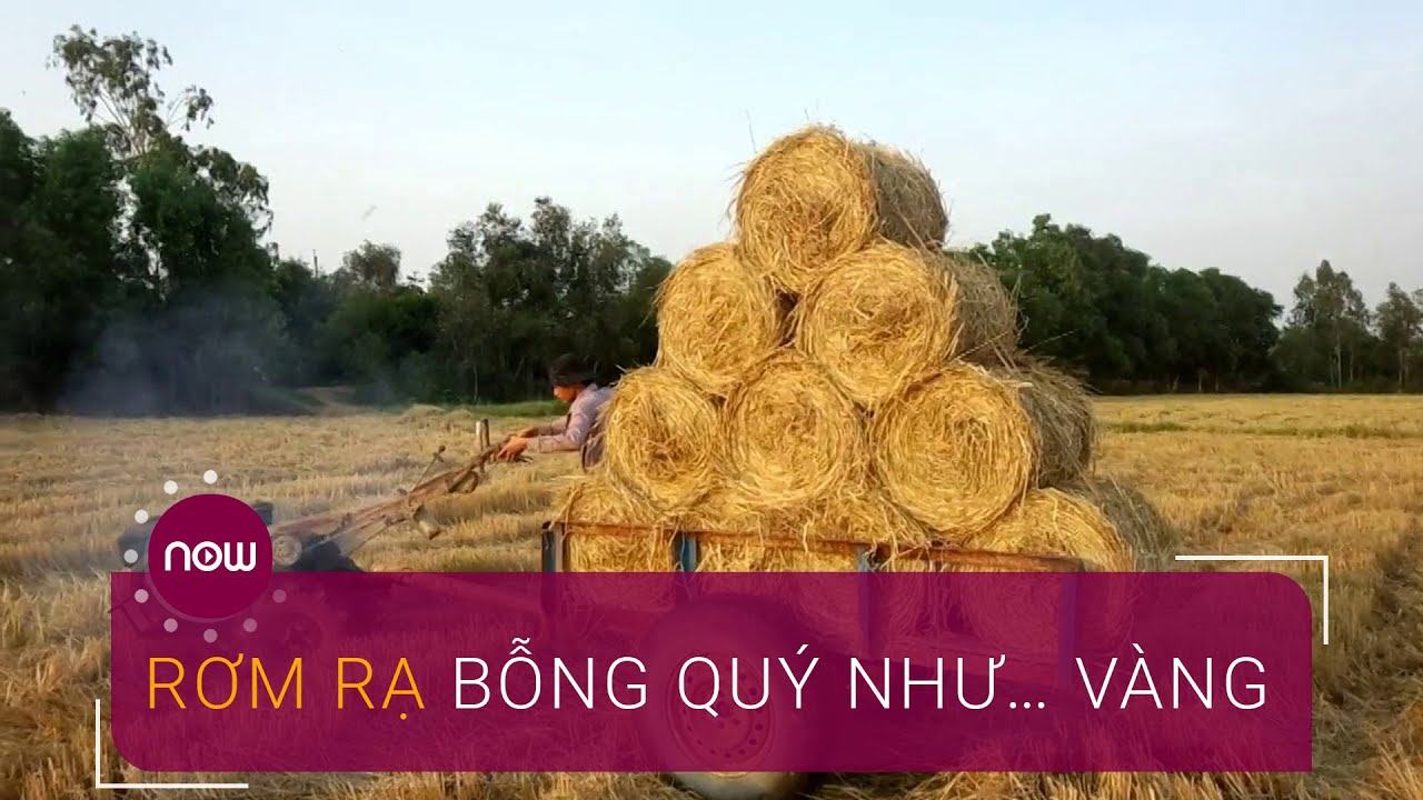 nguyên liệu bột rơm thân thiện với môi trường, bộ sản phẩm amenity.