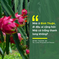 bí mật