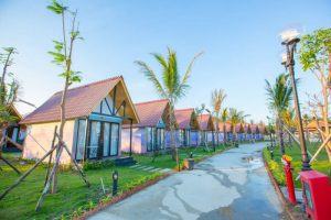 TTC Resort Premium