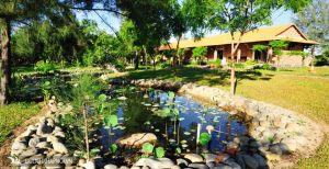 Khu nghỉ dưỡng Bàu Trúc- Đen Giòn Resort