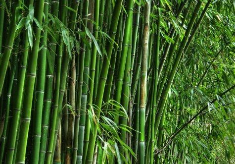quy trình sản xuất