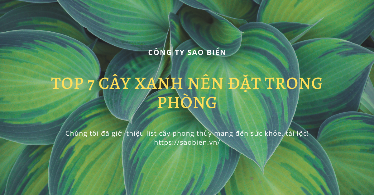 cây xanh