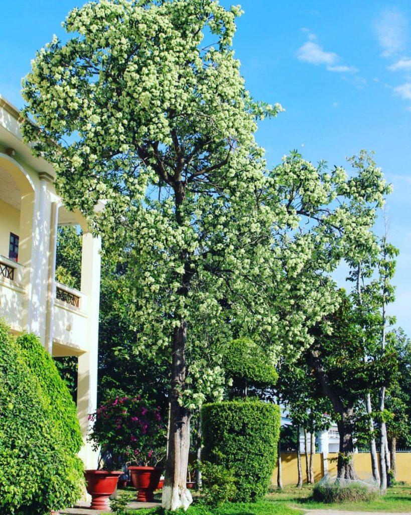 Thành phố Sài Gòn
