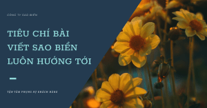 bài viết